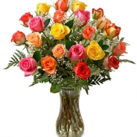 24 Long Stem Multicolored Roses