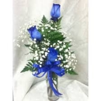 Three blue roses