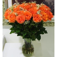 24 Orange Roses