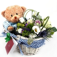 Flower Basket and Teddy