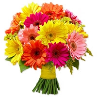 Gerberas Daises Bouquet