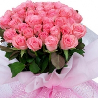 36 Pink Roses