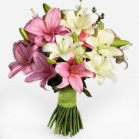 SWEET LILIES